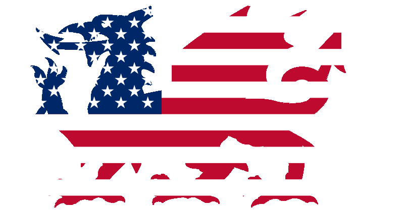 Combined Wales US Flag