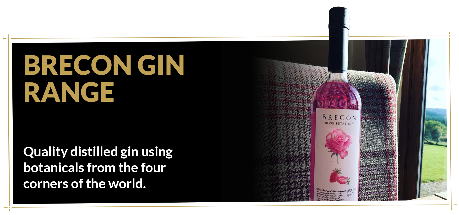 Shop Spirits gin