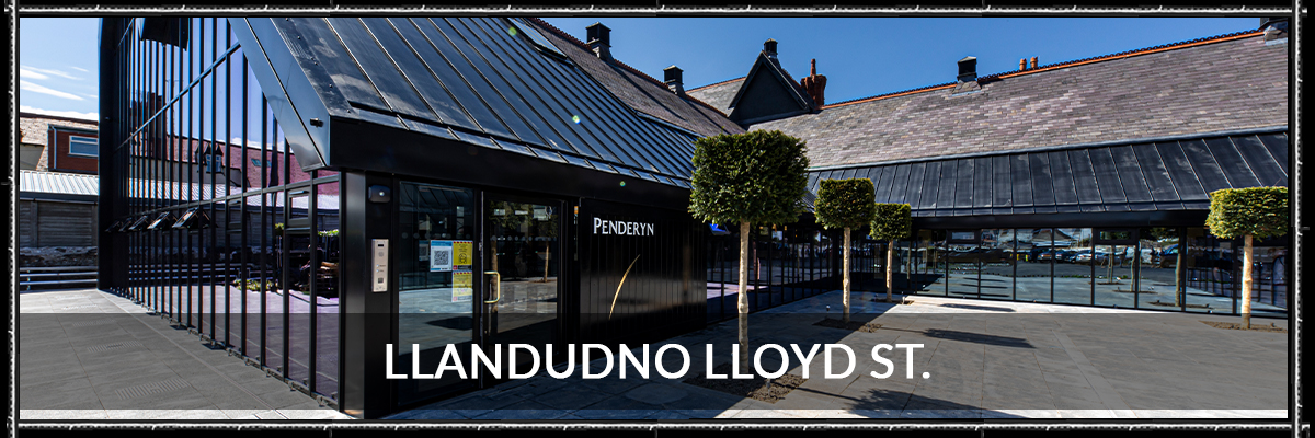 Tours Llandudno Banner