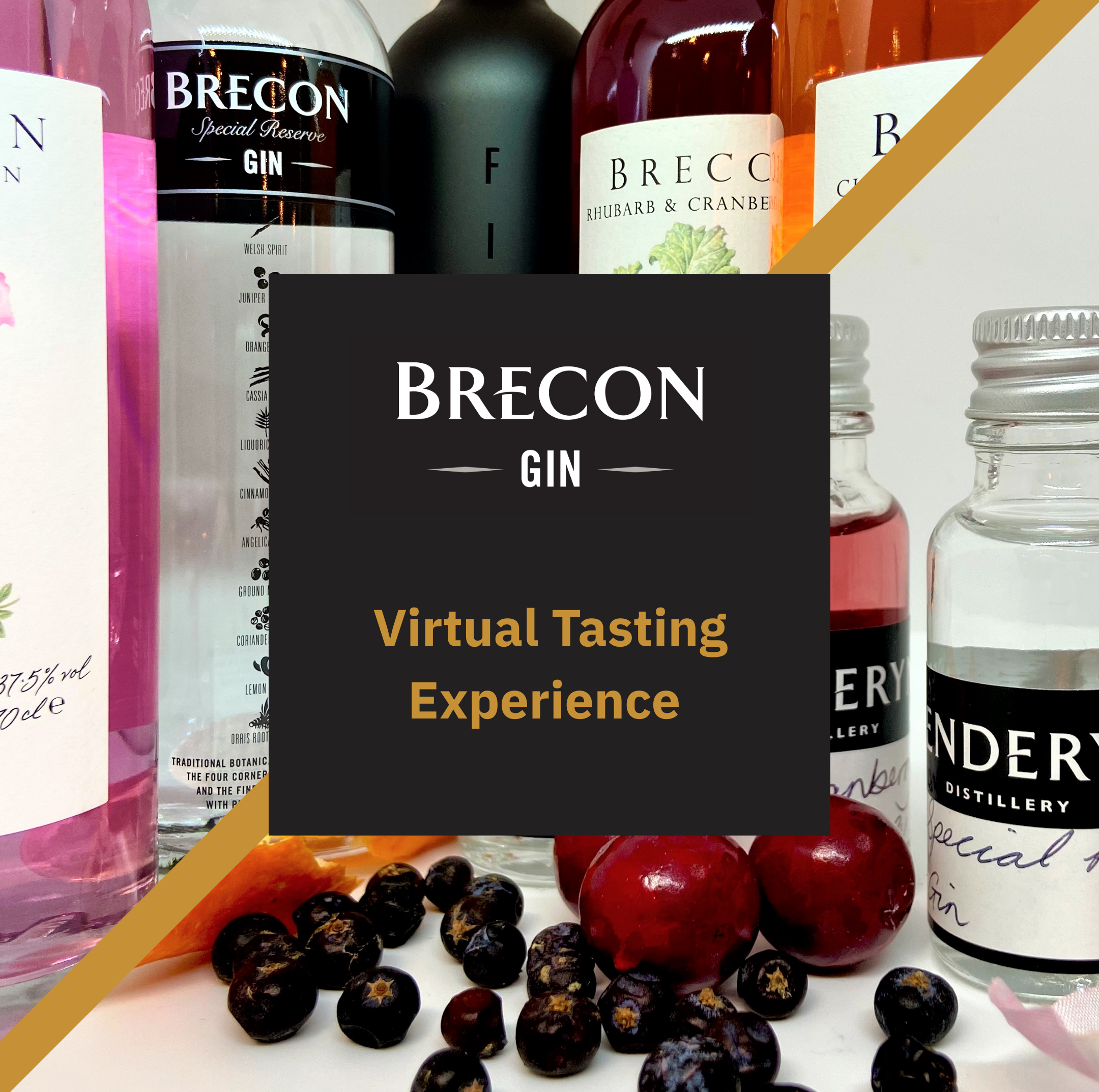 Virtual Tours 3